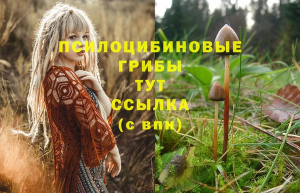 метамфетамин Арсеньев